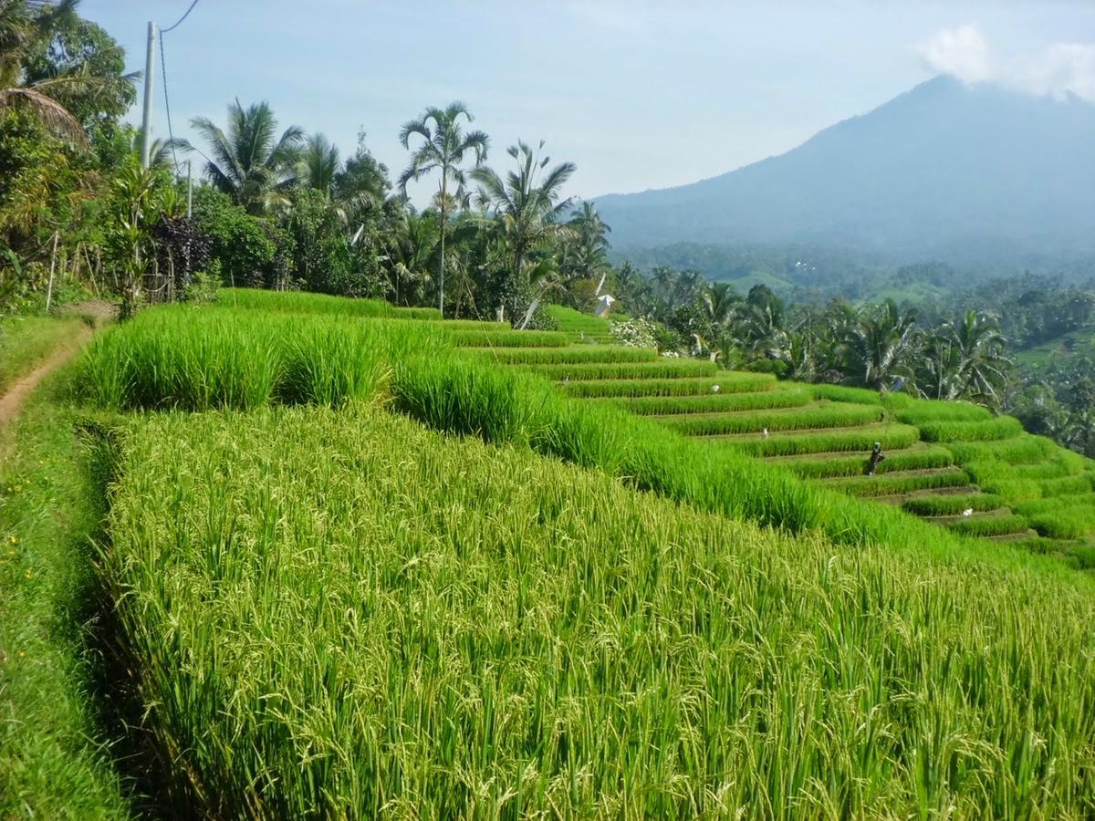 Zen Rooms Basic Kuta Kubu Anyar 外观 照片