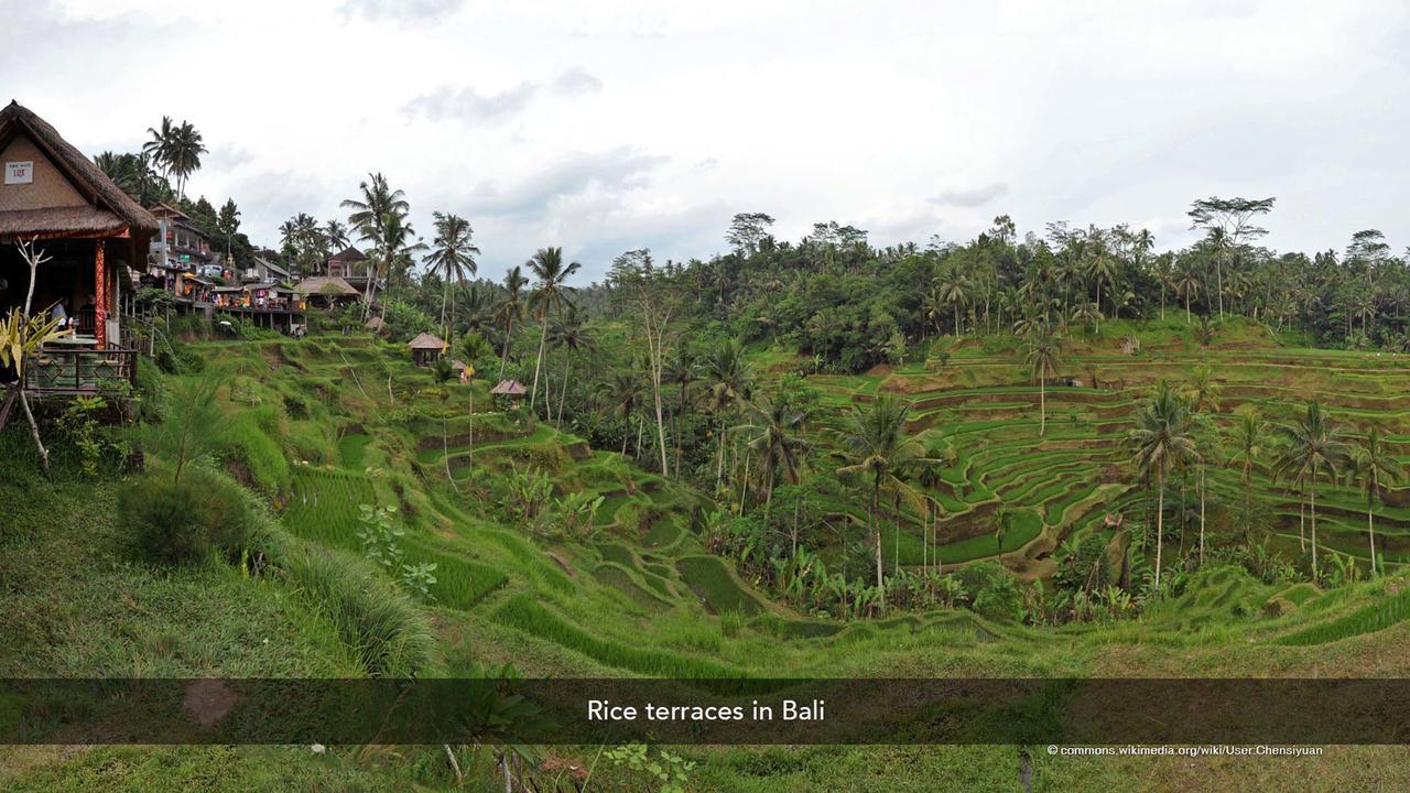 Zen Rooms Basic Kuta Kubu Anyar 外观 照片